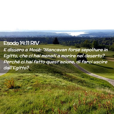 Picture 02 - Esodo 14:11 RIV - E dissero a Mosè: “Mancavan forse sepolture in - Bible Verse Picture