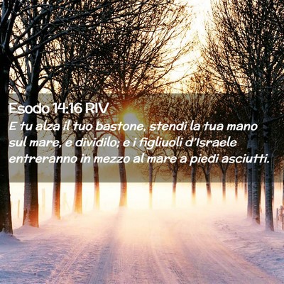 Picture 02 - Esodo 14:16 RIV - E tu alza il tuo bastone, stendi la tua mano sul - Bible Verse Picture