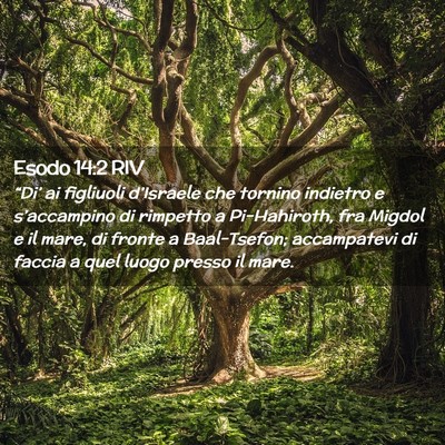 Picture 02 - Esodo 14:2 RIV - “Di’ ai figliuoli d’Israele che tornino - Bible Verse Picture