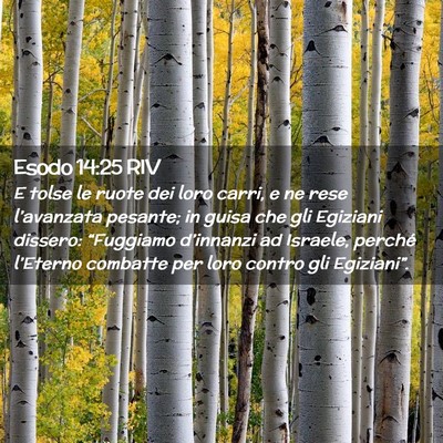Picture 02 - Esodo 14:25 RIV - E tolse le ruote dei loro carri, e ne rese - Bible Verse Picture