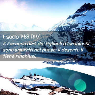 Picture 02 - Esodo 14:3 RIV - E Faraone dirà de’ figliuoli d’Israele: Si - Bible Verse Picture