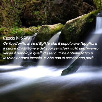Picture 02 - Esodo 14:5 RIV - Or fu riferito al re d’Egitto che il popolo era - Bible Verse Picture