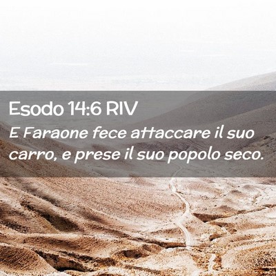 Picture 02 - Esodo 14:6 RIV - E Faraone fece attaccare il suo carro, e prese il - Bible Verse Picture
