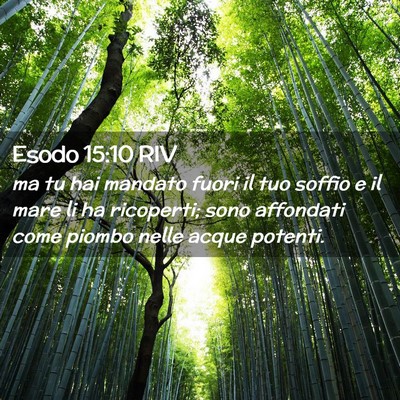 Picture 02 - Esodo 15:10 RIV - ma tu hai mandato fuori il tuo soffio e il mare - Bible Verse Picture