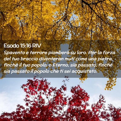 Picture 02 - Esodo 15:16 RIV - Spavento e terrore piomberà su loro. Per la - Bible Verse Picture