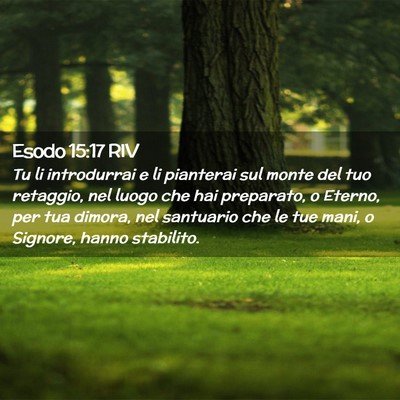 Picture 02 - Esodo 15:17 RIV - Tu li introdurrai e li pianterai sul monte del - Bible Verse Picture