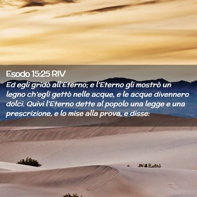 Picture 02 - Esodo 15:25 RIV - Ed egli gridò all’Eterno; e l’Eterno gli - Bible Verse Picture