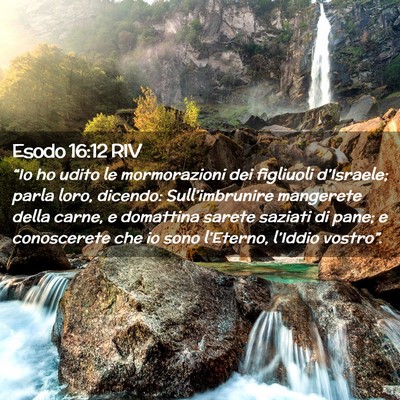 Picture 02 - Esodo 16:12 RIV - “Io ho udito le mormorazioni dei figliuoli - Bible Verse Picture