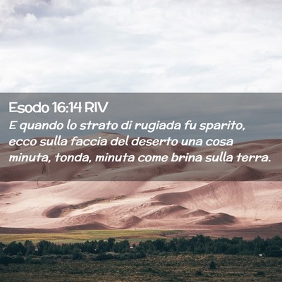 Picture 02 - Esodo 16:14 RIV - E quando lo strato di rugiada fu sparito, ecco - Bible Verse Picture