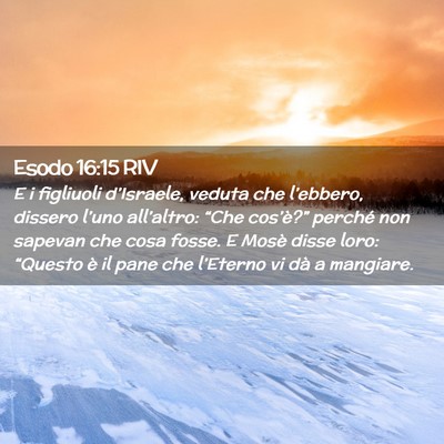 Picture 02 - Esodo 16:15 RIV - E i figliuoli d’Israele, veduta che l’ebbero, - Bible Verse Picture