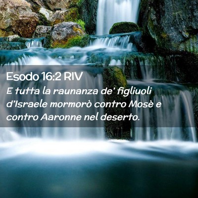 Picture 02 - Esodo 16:2 RIV - E tutta la raunanza de’ figliuoli d’Israele - Bible Verse Picture