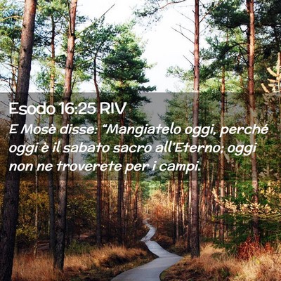 Picture 02 - Esodo 16:25 RIV - E Mosè disse: “Mangiatelo oggi, perché oggi - Bible Verse Picture