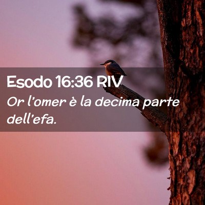Picture 02 - Esodo 16:36 RIV - Or l’omer è la decima parte - Bible Verse Picture