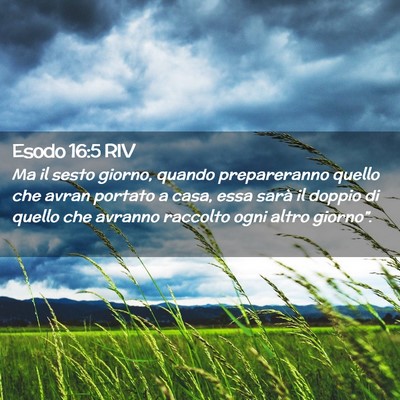 Picture 02 - Esodo 16:5 RIV - Ma il sesto giorno, quando prepareranno quello - Bible Verse Picture