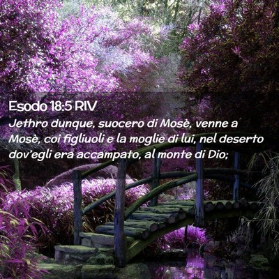 Picture 02 - Esodo 18:5 RIV - Jethro dunque, suocero di Mosè, venne a Mosè, - Bible Verse Picture