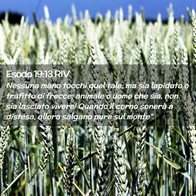 Picture 02 - Esodo 19:13 RIV - Nessuna mano tocchi quel tale; ma sia lapidato o - Bible Verse Picture