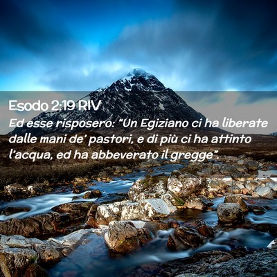 Picture 02 - Esodo 2:19 RIV - Ed esse risposero: “Un Egiziano ci ha liberate - Bible Verse Picture