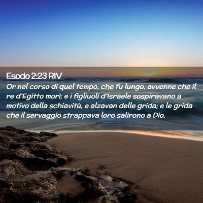 Picture 02 - Esodo 2:23 RIV - Or nel corso di quel tempo, che fu lungo, avvenne - Bible Verse Picture