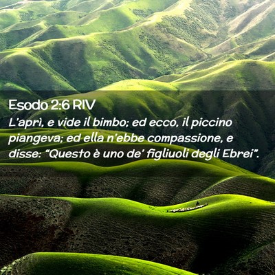 Picture 02 - Esodo 2:6 RIV - L’aprì, e vide il bimbo; ed ecco, il piccino - Bible Verse Picture