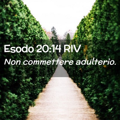 Picture 02 - Esodo 20:14 RIV - Non commettere - Bible Verse Picture
