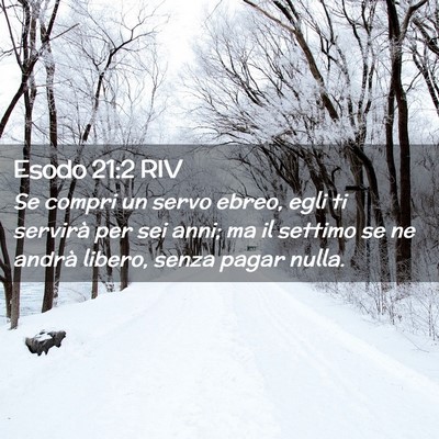 Picture 02 - Esodo 21:2 RIV - Se compri un servo ebreo, egli ti servirà per - Bible Verse Picture