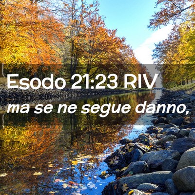 Picture 02 - Esodo 21:23 RIV - ma se ne segue - Bible Verse Picture