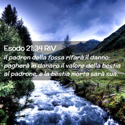 Picture 02 - Esodo 21:34 RIV - il padron della fossa rifarà il danno: pagherà - Bible Verse Picture