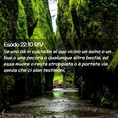 Picture 02 - Esodo 22:10 RIV - Se uno dà in custodia al suo vicino un asino o - Bible Verse Picture