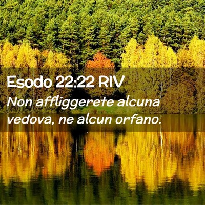 Picture 02 - Esodo 22:22 RIV - Non affliggerete alcuna vedova, ne alcun - Bible Verse Picture