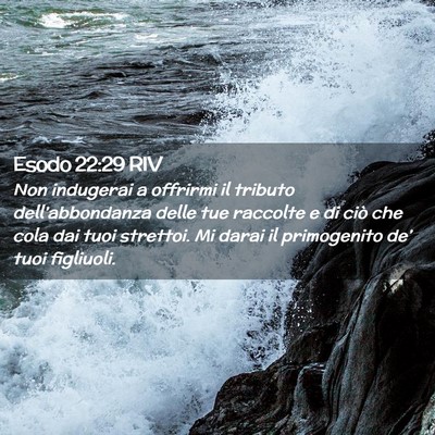 Picture 02 - Esodo 22:29 RIV - Non indugerai a offrirmi il tributo - Bible Verse Picture