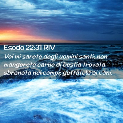 Picture 02 - Esodo 22:31 RIV - Voi mi sarete degli uomini santi; non mangerete - Bible Verse Picture