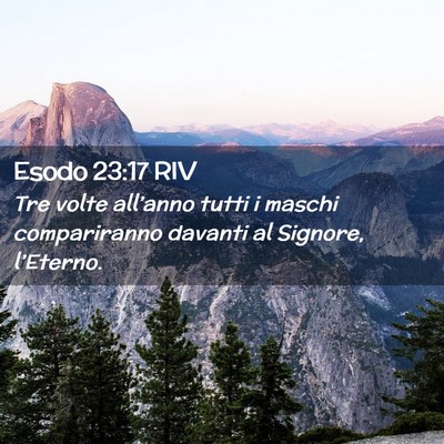 Picture 02 - Esodo 23:17 RIV - Tre volte all’anno tutti i maschi compariranno - Bible Verse Picture