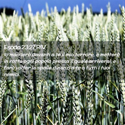 Picture 02 - Esodo 23:27 RIV - Io manderò davanti a te il mio terrore, e - Bible Verse Picture