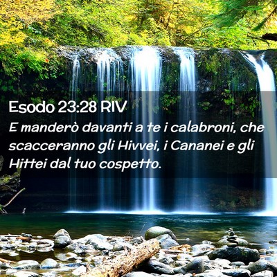 Picture 02 - Esodo 23:28 RIV - E manderò davanti a te i calabroni, che - Bible Verse Picture