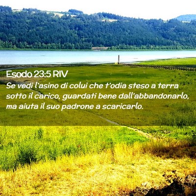 Picture 02 - Esodo 23:5 RIV - Se vedi l’asino di colui che t’odia steso a - Bible Verse Picture