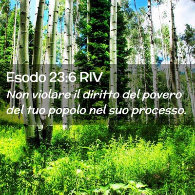 Picture 02 - Esodo 23:6 RIV - Non violare il diritto del povero del tuo popolo - Bible Verse Picture