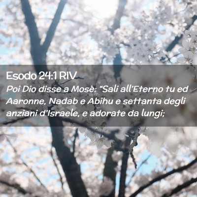 Picture 02 - Esodo 24:1 RIV - Poi Dio disse a Mosè: “Sali all’Eterno tu ed - Bible Verse Picture