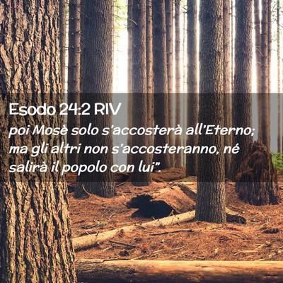 Picture 02 - Esodo 24:2 RIV - poi Mosè solo s’accosterà all’Eterno; ma - Bible Verse Picture