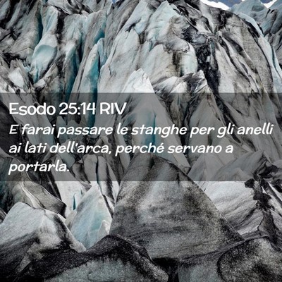 Picture 02 - Esodo 25:14 RIV - E farai passare le stanghe per gli anelli ai lati - Bible Verse Picture