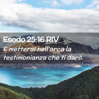 Picture 02 - Esodo 25:16 RIV - E metterai nell’arca la testimonianza che ti - Bible Verse Picture