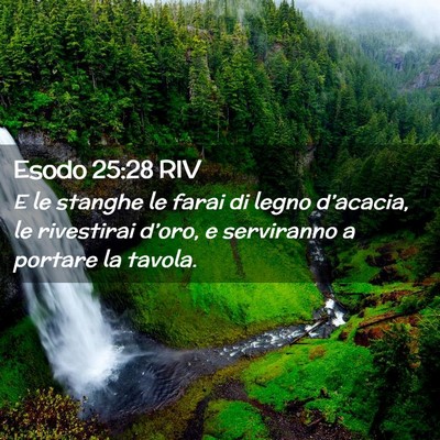 Picture 02 - Esodo 25:28 RIV - E le stanghe le farai di legno d’acacia, le - Bible Verse Picture