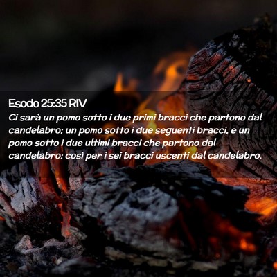 Picture 02 - Esodo 25:35 RIV - Ci sarà un pomo sotto i due primi bracci che - Bible Verse Picture