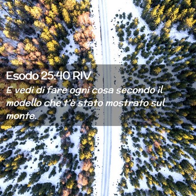 Picture 02 - Esodo 25:40 RIV - E vedi di fare ogni cosa secondo il modello che - Bible Verse Picture