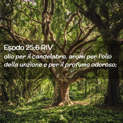 Picture 02 - Esodo 25:6 RIV - olio per il candelabro, aromi per l’olio della - Bible Verse Picture