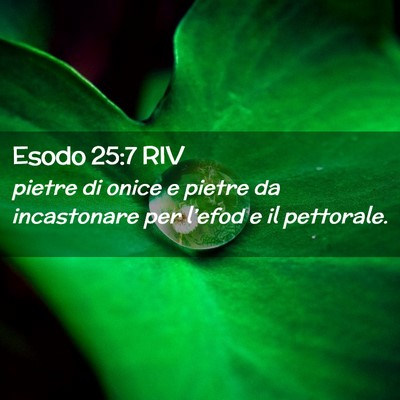 Picture 02 - Esodo 25:7 RIV - pietre di onice e pietre da incastonare per - Bible Verse Picture