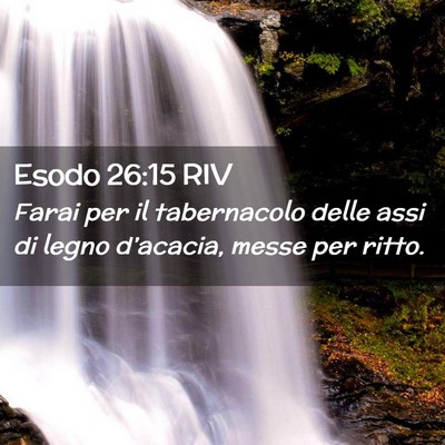 Picture 02 - Esodo 26:15 RIV - Farai per il tabernacolo delle assi di legno - Bible Verse Picture