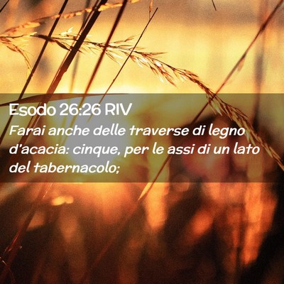Picture 02 - Esodo 26:26 RIV - Farai anche delle traverse di legno d’acacia: - Bible Verse Picture