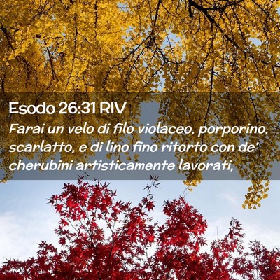 Picture 02 - Esodo 26:31 RIV - Farai un velo di filo violaceo, porporino, - Bible Verse Picture