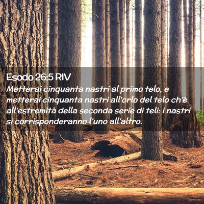 Picture 02 - Esodo 26:5 RIV - Metterai cinquanta nastri al primo telo, e - Bible Verse Picture