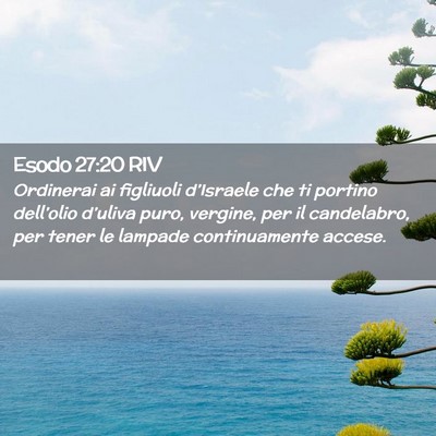 Picture 02 - Esodo 27:20 RIV - Ordinerai ai figliuoli d’Israele che ti portino - Bible Verse Picture